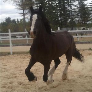 Meet your Posher, Melissa